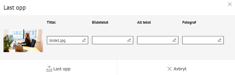 Illustrasjon av hvor alt-tekst kan skrives i ACOS CMS - Klikk for stort bilde